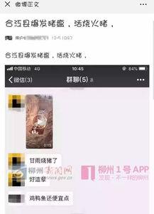 猪瘟最新爆料视频,揭秘病毒传播真相与防控措施 第2张 猪瘟最新爆料视频,揭秘病毒传播真相与防控措施 第2张