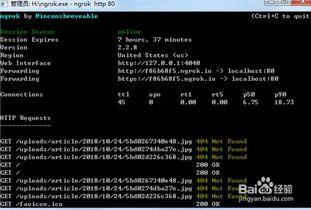 今日外网爆料视频最新